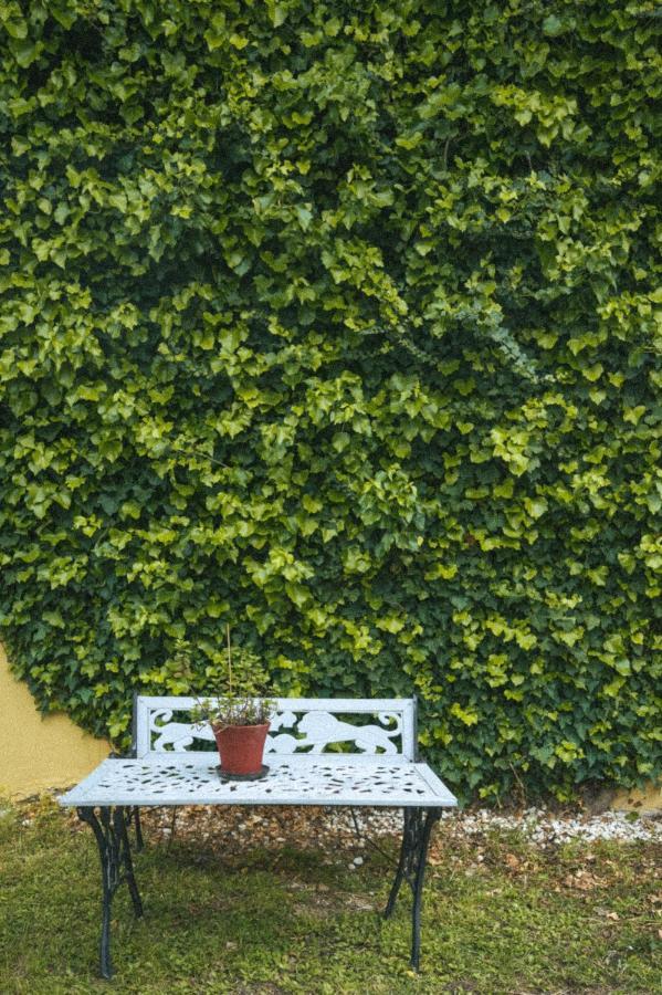 Abelia Boutique Rooms Циливи Екстериор снимка